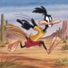 Road Runner